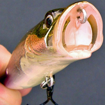 Topwater, Popper Megabass Cuba Libre, вид ловли-Спиннинг ⏩ Профессиональные консультации. ✈️ Оперативная доставка в любой регион. ✔️ Низкие цены. ➡️ Вы останетесь довольны! ✌️ Заказать:☎️ +375 29 662 27 73