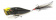 Воблер Megabass Pop X Cuba Libre ➤➤➤ купить в интернете, цена. Topwater, Popper Megabass Cuba Libre, вид ловли-Спиннинг ⏩ Профессиональные консультации. ✈️ Оперативная доставка в любой регион. ✔️ Низкие цены. ➡️ Вы останетесь довольны! ✌️ Заказать:☎️ +375 29 662 27 73