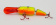 Воблер Rapala Jointed Shad Rap 04 BHO ➤➤➤ купить в интернете, цена. Jointed Rapala BHO, вид ловли-На окуня ⏩ Профессиональные консультации. ✈️ Оперативная доставка в любой регион. ✔️ Низкие цены. ➡️ Вы останетесь довольны! ✌️ Заказать:☎️ +375 29 662 27 73