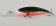 Воблер Rapala Deep Tail Dancer 09 RDT ⏩  профессиональные консультации. ✈️ Оперативная доставка в любой регион. ☎️ +375 29 662 27 73