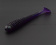 Силиконовая приманка Dead Perch Poacher 2.5 002 (Black Grape) ➤➤➤ купить в интернете, цена. Виброхвост Dead Perch Poacher 2.5 002 (Black Grape). ⏩ Профессиональные консультации. ✈️ Оперативная доставка в любой регион. ✔️ Низкие цены. ➡️ Вы останетесь довольны! ✌️ Заказать:☎️ +375 29 662 27 73