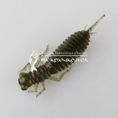 Личинка Dead Perch Kozi-java 2.5 013 (Green Pumpkin). ⏩ Профессиональные консультации. ✈️ Оперативная доставка в любой регион. ✔️ Низкие цены. ➡️ Вы останетесь довольны! ✌️ Заказать:☎️ +375 29 662 27 73