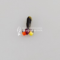 WORMIX, вес 0.3г, Д-2.0, Черный с золотой коронкой ⏩ Профессиональные консультации. ✈️ Оперативная доставка в любой регион. ✔️ Низкие цены. ➡️ Вы останетесь довольны! ✌️ Заказать:☎️ +375 29 662 27 73