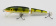 Jointed Rapala YP, вид ловли-На щуку, окуня ⏩ Профессиональные консультации. ✈️ Оперативная доставка в любой регион. ✔️ Низкие цены. ➡️ Вы останетесь довольны! ✌️ Заказать:☎️ +375 29 662 27 73