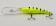 Воблер Rapala Deep Tail Dancer 09 HT ⏩  профессиональные консультации. ✈️ Оперативная доставка в любой регион. ☎️ +375 29 662 27 73