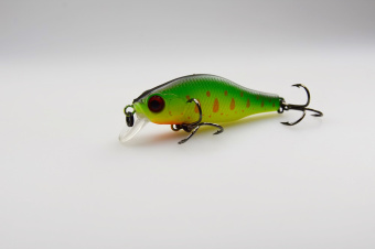 Шад GROWS CULTURE UV06, вид ловли-На жереха, головля ⏩ Профессиональные консультации. ✈️ Оперативная доставка в любой регион. ✔️ Низкие цены. ➡️ Вы останетесь довольны! ✌️ Заказать:☎️ +375 29 662 27 73